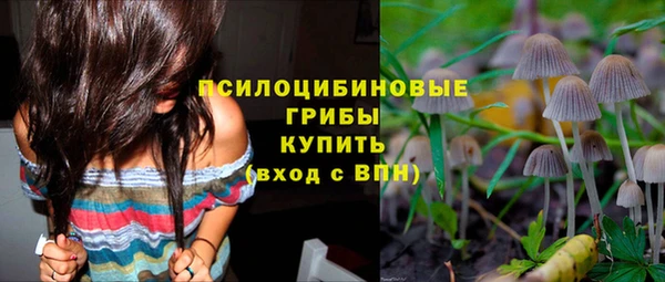 дурь Володарск